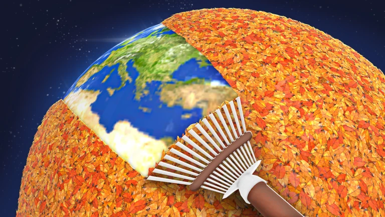 Clean all the leaves!